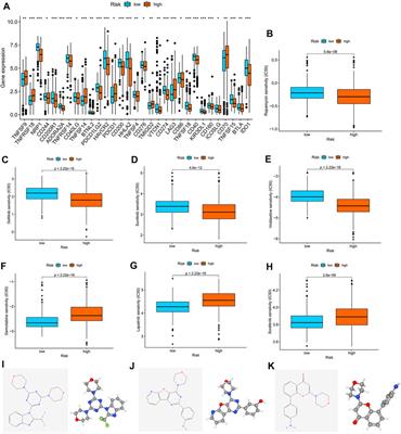 m7G regulator-mediated molecular subtypes and tumor microenvironment in kidney renal clear cell carcinoma